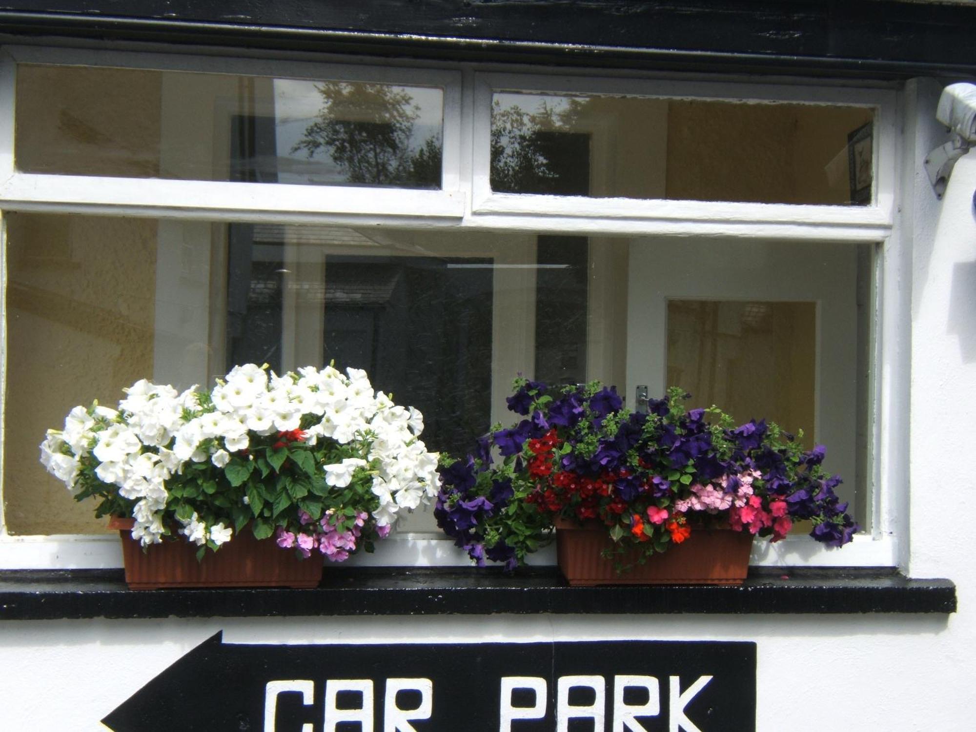 Faythe Guesthouse Wexford Esterno foto