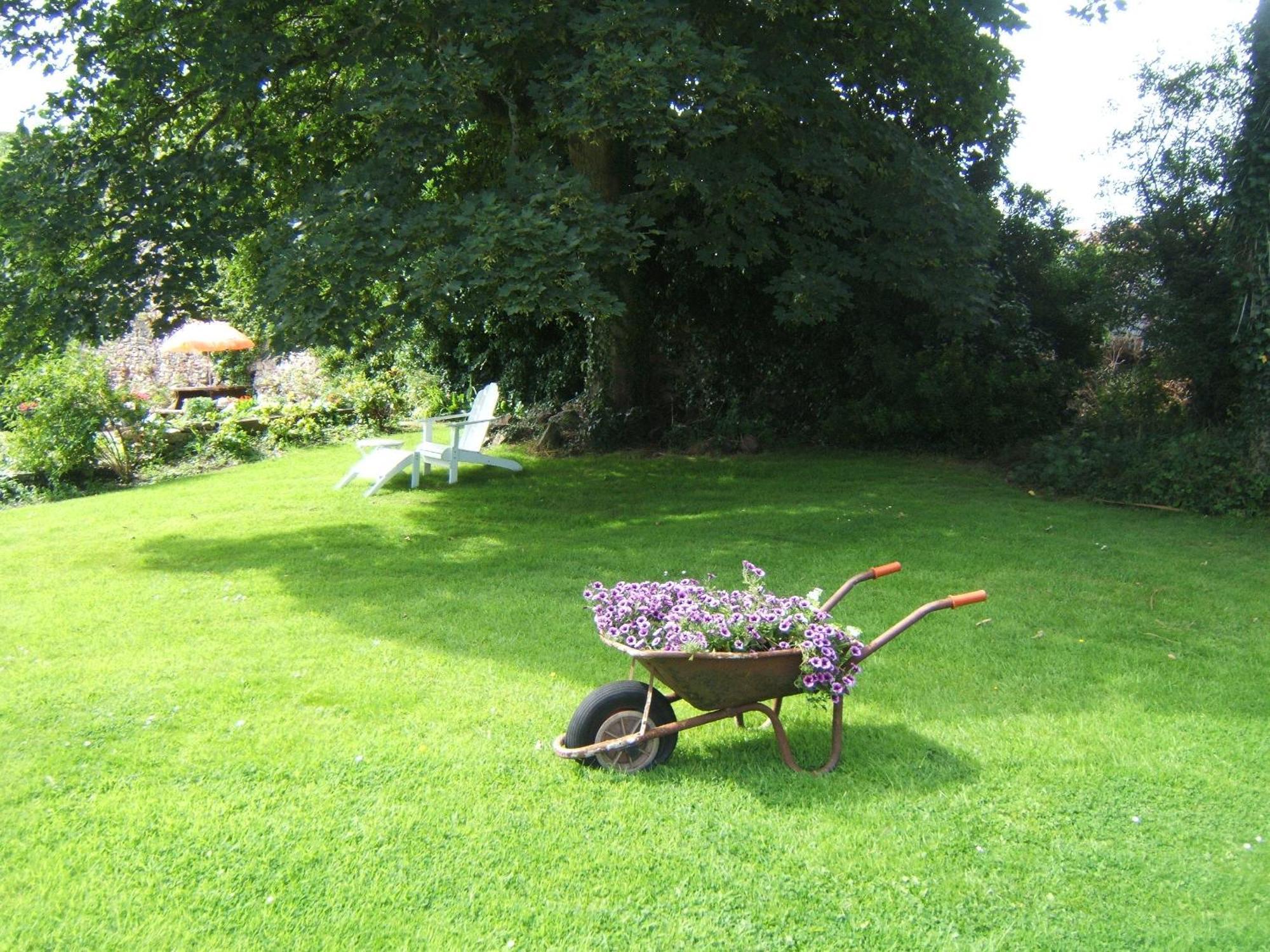 Faythe Guesthouse Wexford Esterno foto