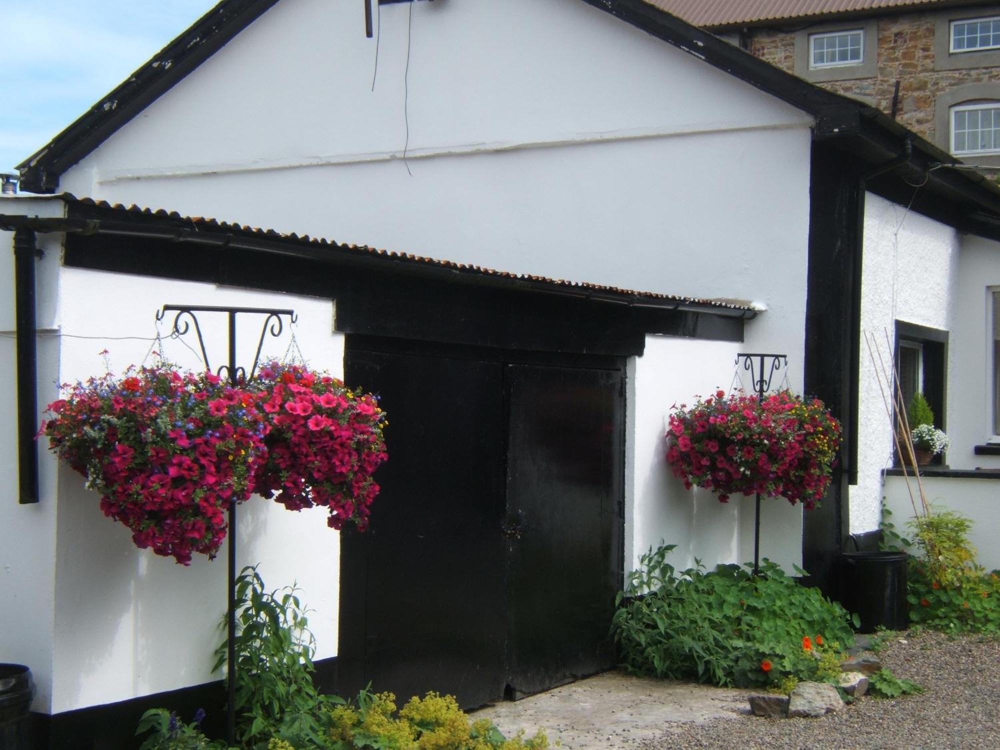Faythe Guesthouse Wexford Esterno foto