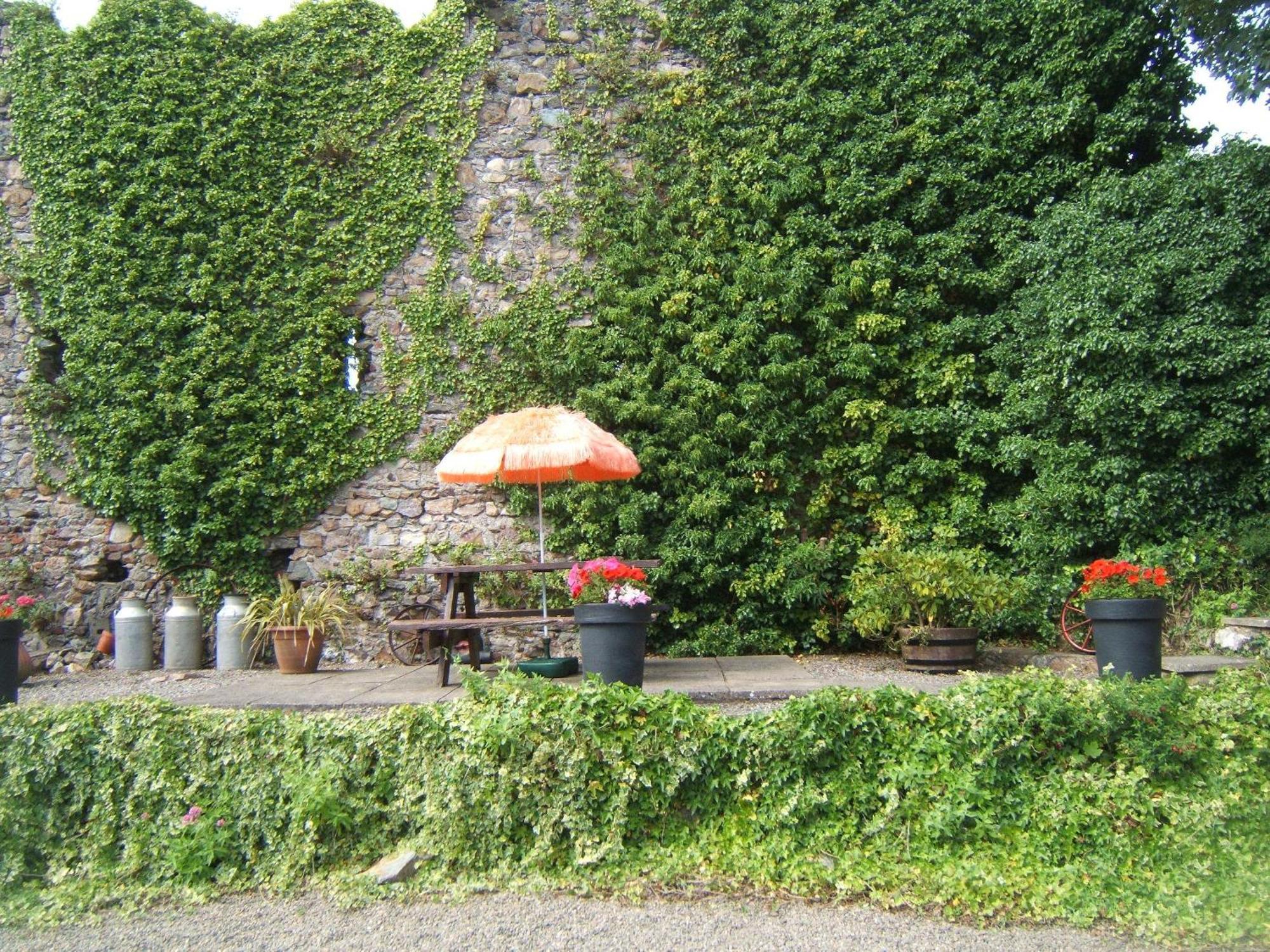 Faythe Guesthouse Wexford Esterno foto